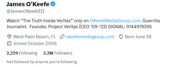 15 Twitter Tips to Boost Engagement and Grow Your Brand in 2025 9 Example of Twitter/X Link in Bio