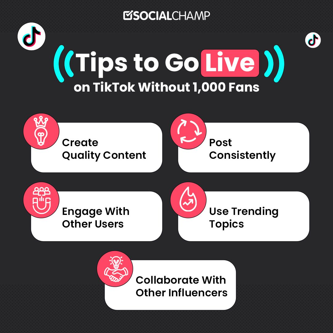 Tips to Go Live on TikTok Without 1000 Fans