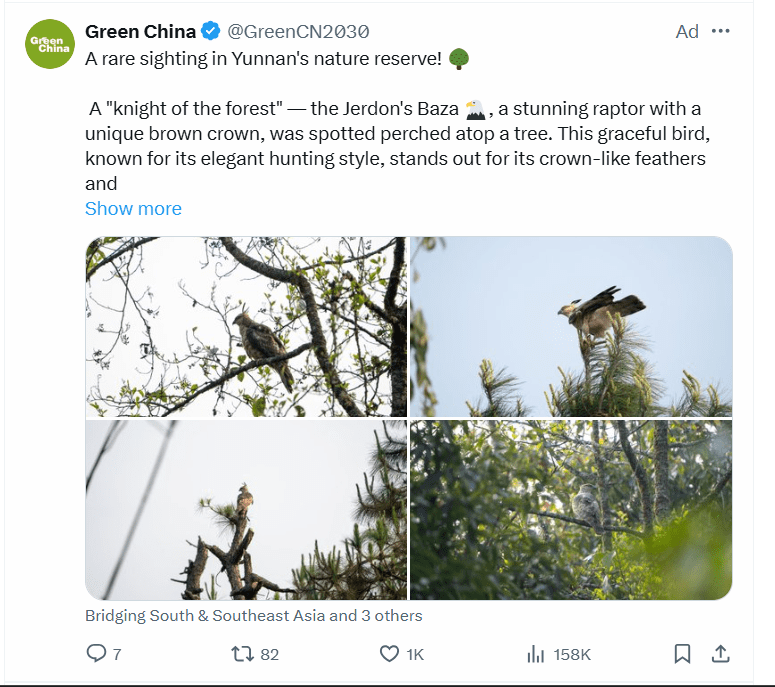 Example of a Twitter Ad