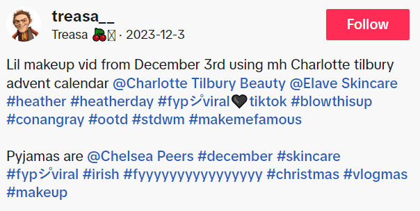 A Snapshot of TikTok Hashtags