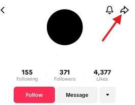 Share Icon on TikTok Profile