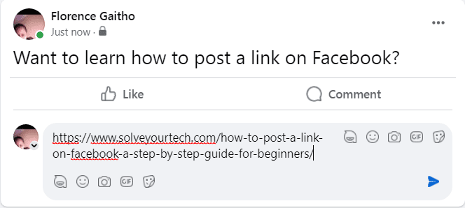 How to Post a Link on Facebook in 2026: A Step-By-Step Guide 25 How to Post a Link on Facebook - Way 3 (e)