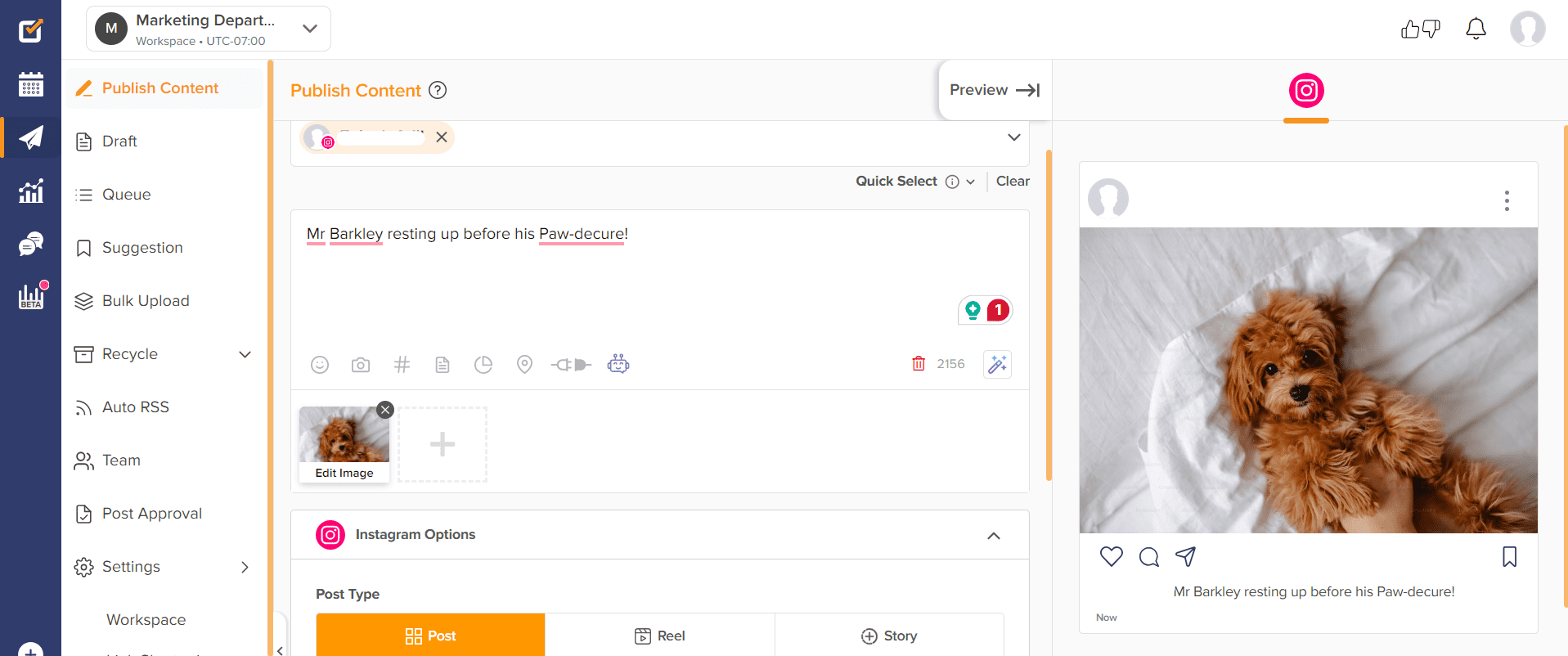 15+ Essential Social Media Content Creation Tools for 2026 6 Social Champion's dashboard