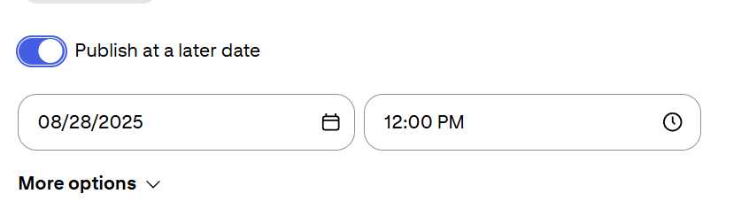 How to Schedule Pinterest Posts Like a Pro (And Drive 10X More Traffic in 2025) 10 Toggle the “Publish at a Later Date” Button