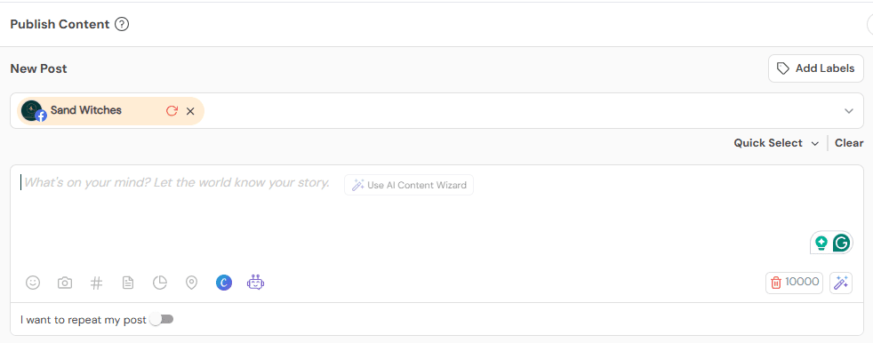 Social Champ's Publishing Tool