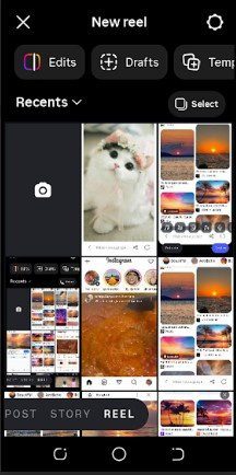 Select the Photo You Want to Share